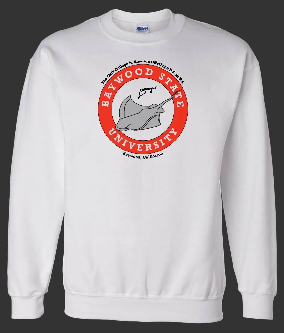 Original "BS in BS" Sweatshirt + Diploma Package